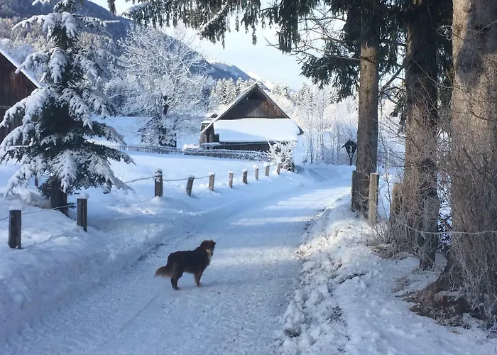 Gritzner 特洛普拉赫